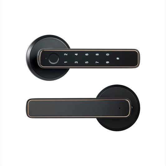 Tuya Bluetooth Smart Fingerprint Door Lock with Password Mechanical Key Unlocking for Wooden Door Single Handle Smartlife M4